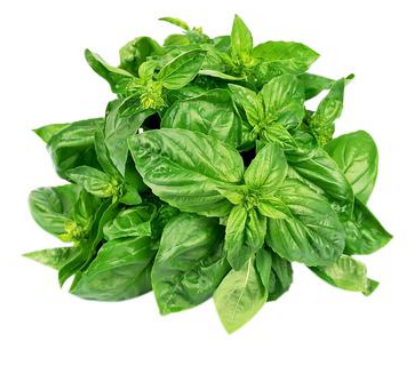 Базилік свіжий, зелений, ДСТУ 2175, 1кг